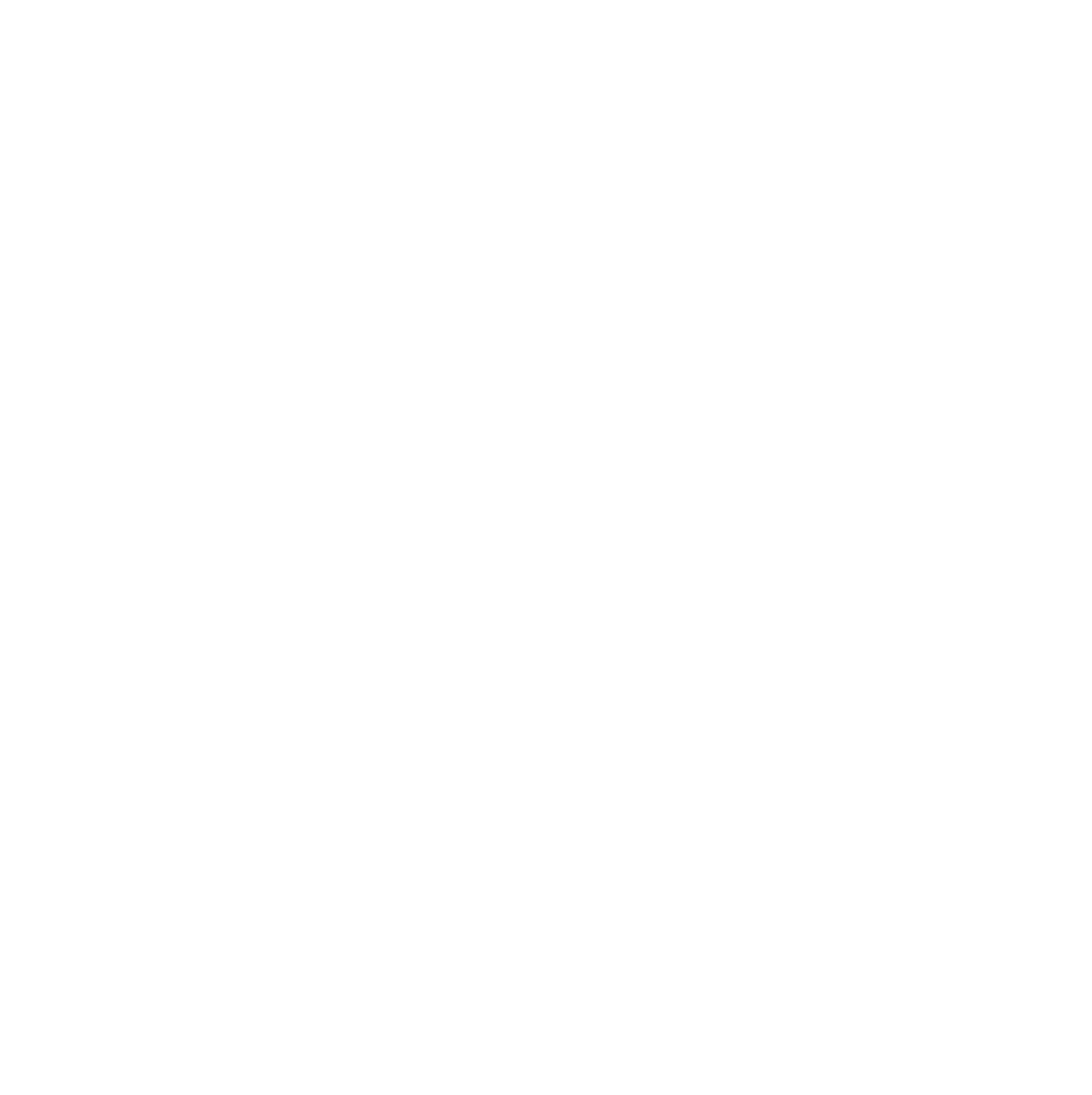 Echte Glasfaser